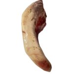 Beef Tongue