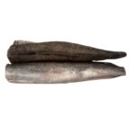 Hake Fish 800-1200g