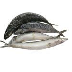Mackerel Fish (400-600g)